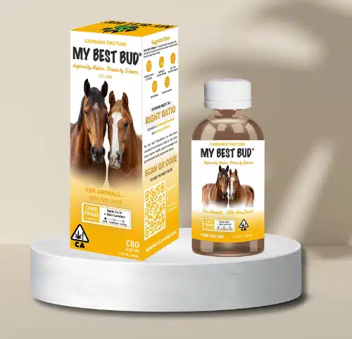 My Best Bud pet CBD product