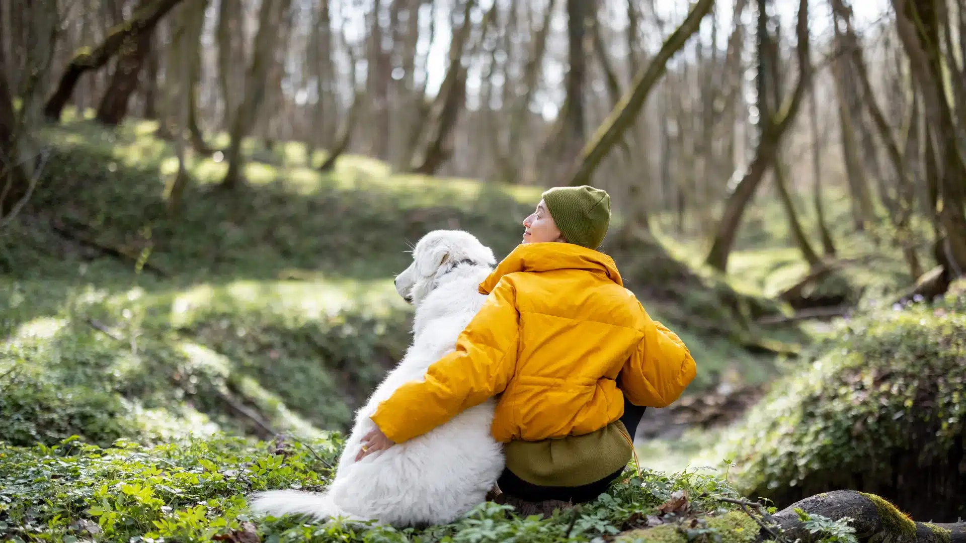 Girl sitting with dog in forest showing companionship and emotional support